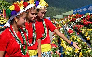 Sikkim Culture