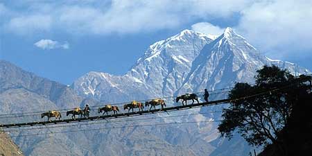 Darjeeling, Gangtok, Yumthang