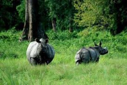 sahatourism.com Photos